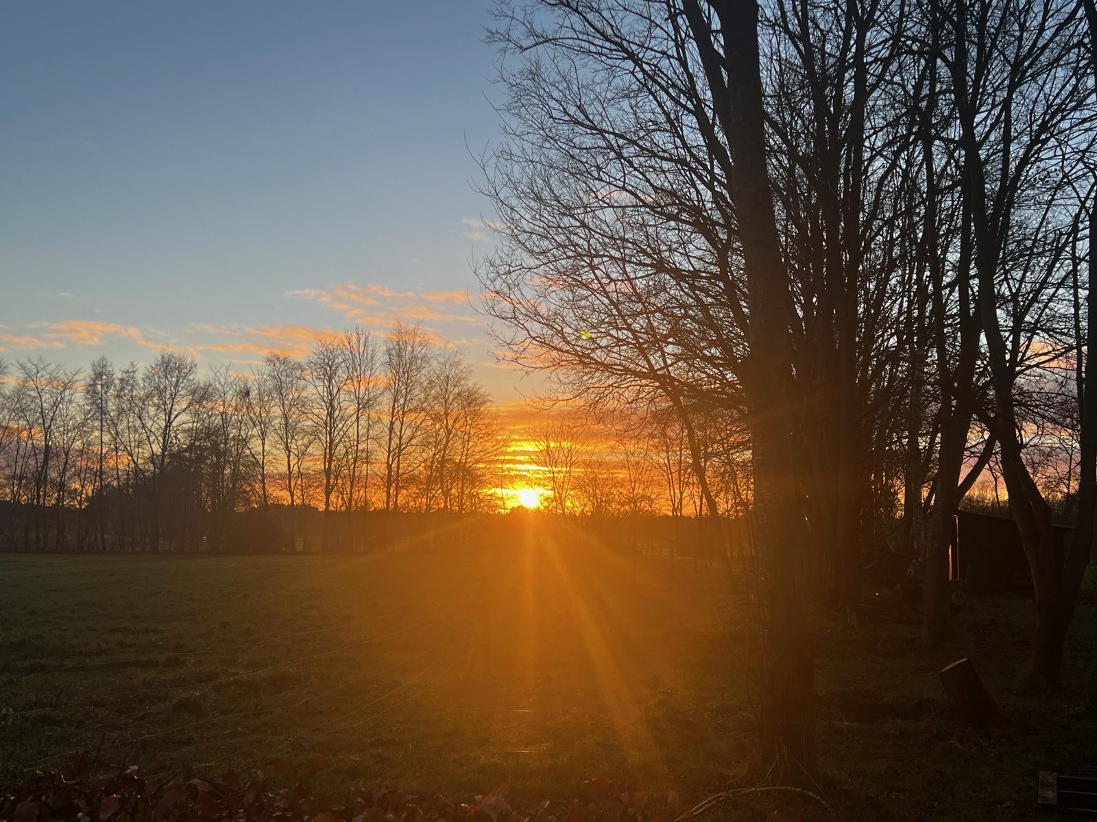 Avondlicht aan de rand van het erf.