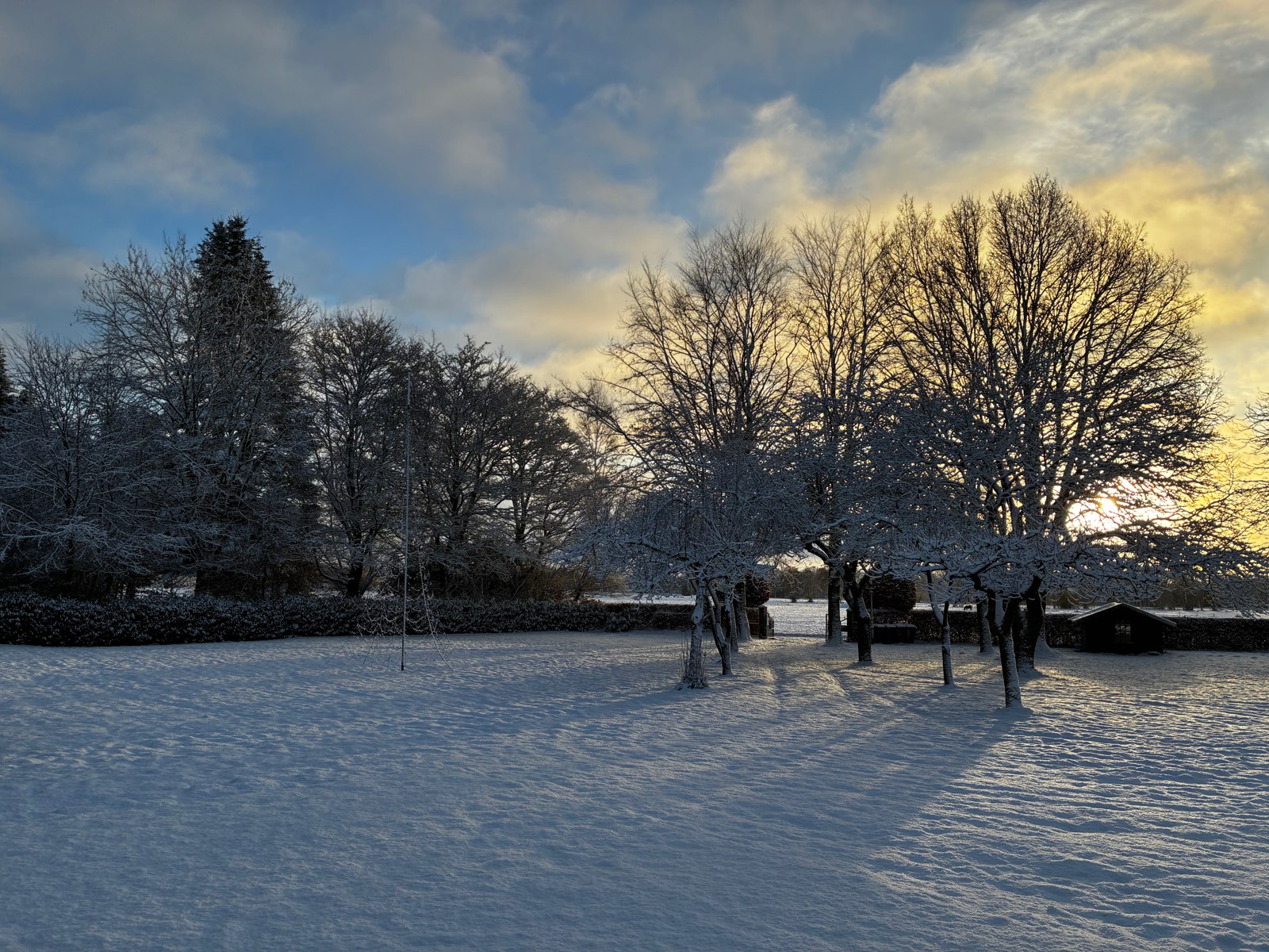 Winterlicht over het erf.