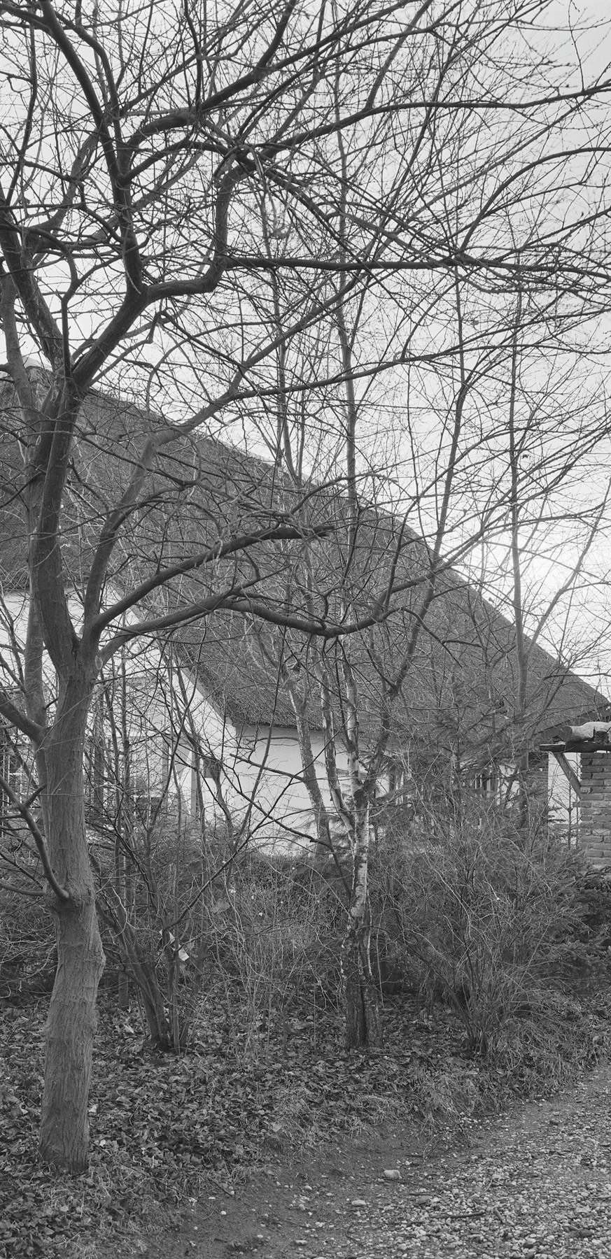 Zij- en voorzijde van de hoeve. A.J. van der Wal / RCE, november 1972; uit de familie-uitgave.