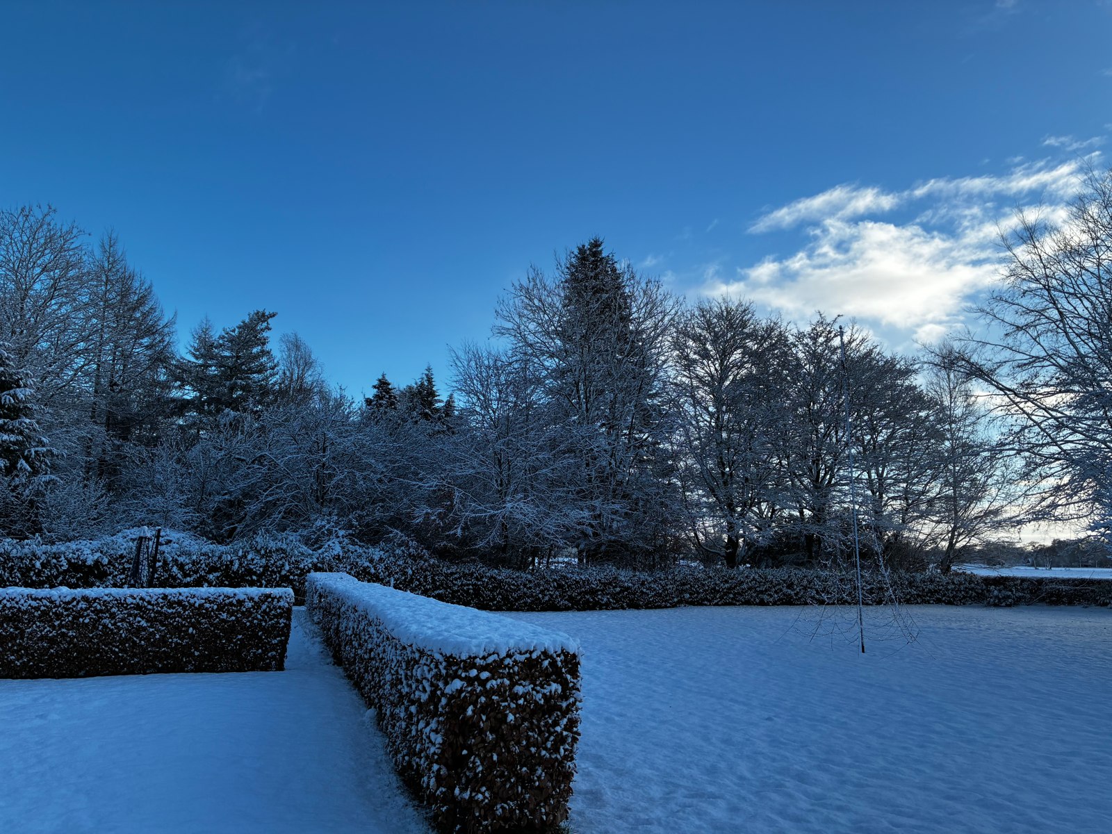De wintertuin.